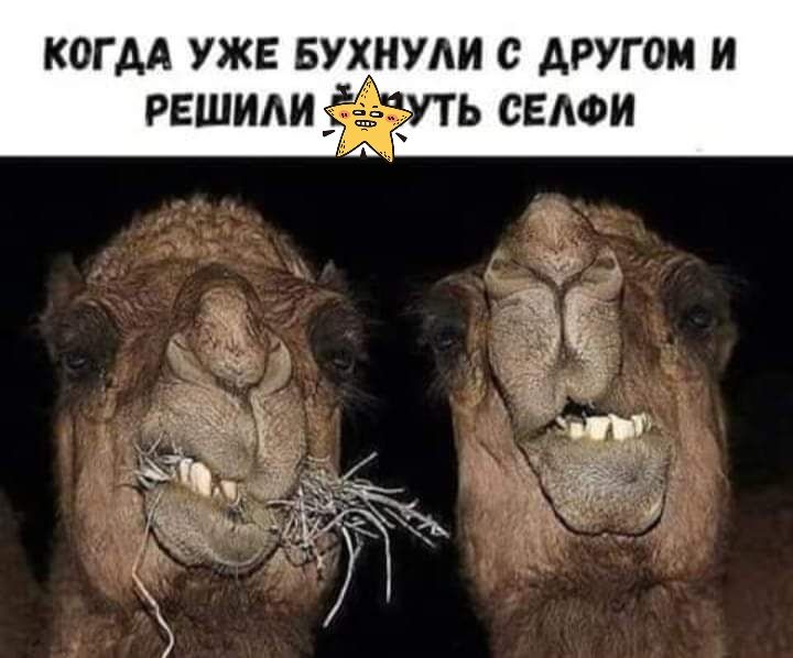 когм уже вухнуди с другом и решит Буть семи