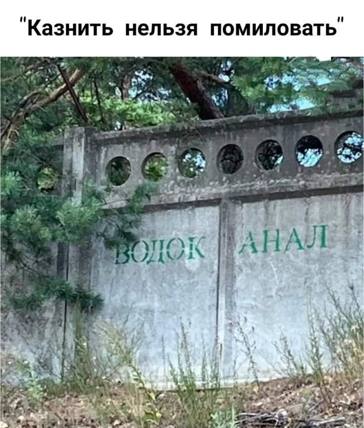 Казнить нельзя помиловать 7