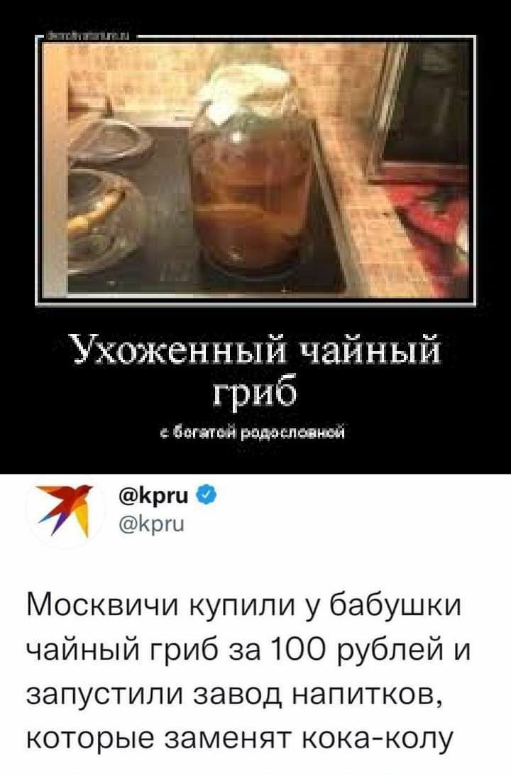 оженный чайный гриб ам ша Крги О Крш Москвичи купили у бабушки чайный гриб 33100 рублей и запустили завод напитков которые заменят кокаколу ви сіаМу2742646