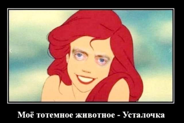 Моё топ мине животное Устало шп