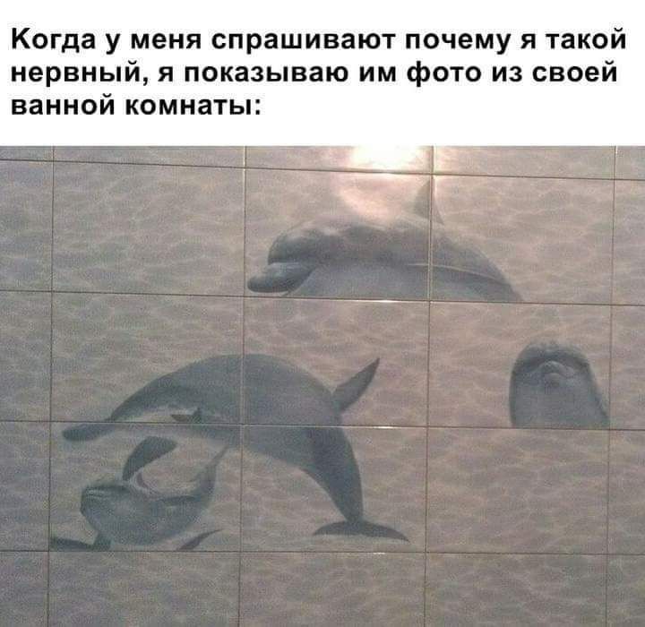 Когда у меня спрашивают почему я такой нервный я показываю им фото из своей ванной комнаты