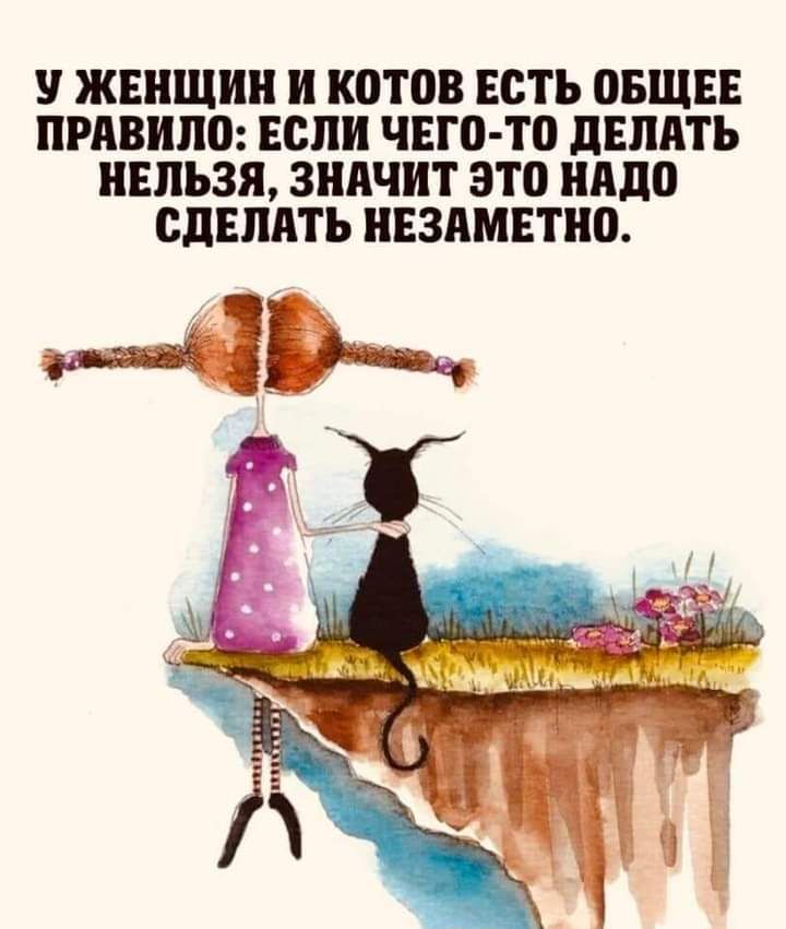 ЖЕНЩИН и котов ЕСТЬ ОБЩЕЕ ПРАВШШ если чвго то дЕПдТЪ НЕЛЬЗЯ ЗНАЧИТ ЭТП АПП СДЕЛАТЬ НЕЗАМЕТНП