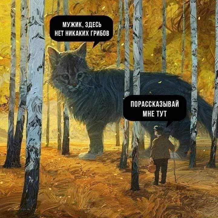 мужикшісь д ипиикдкихгриьпп пингвины миг тут 7 9