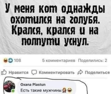 У меня кот однаЖды охотился на гопувя Коапся кпамя и на полпути уснул