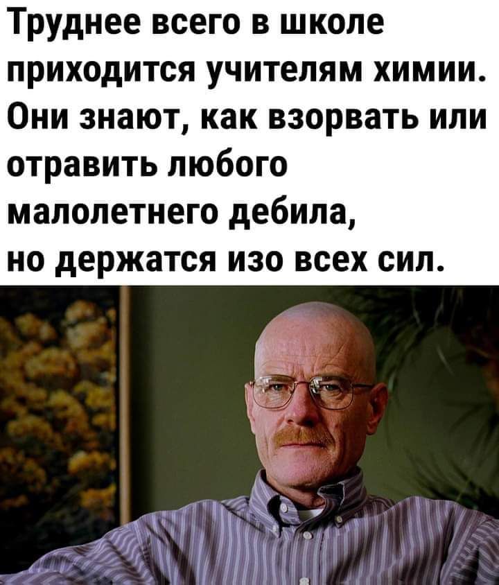 Труднее всего в школе приходится учителям химии Они знают как взорвать или отравить любого малолетнего дебила но держатся изо всех сил