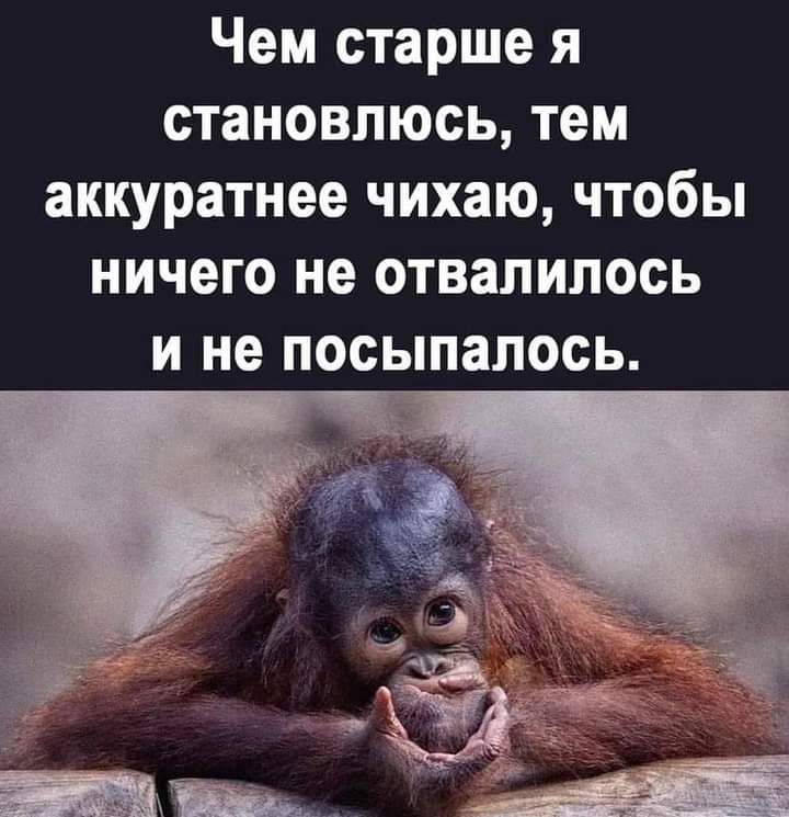 Чем старше я становлюсь тем аккуратнее чихаю чтобы ничего не отвалилось И не ПОСЫПЗПОСЬ