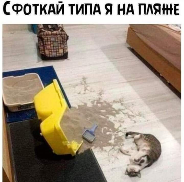 СФОТКАЙ типд я нд пляж Ё