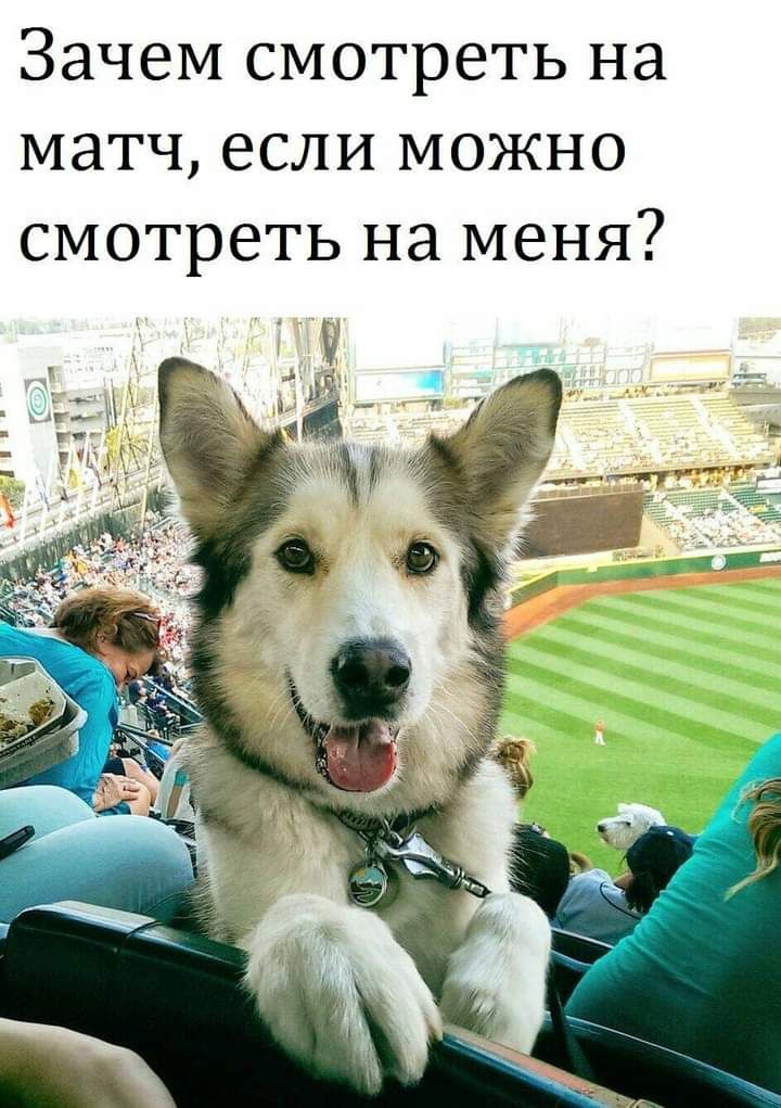 Зачем Смотреть на матч если МОЖНО смотреть на меня
