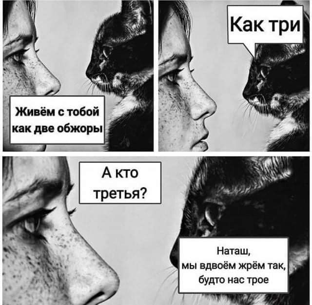 как две обжоры А кто третья Наташ мы Вдвиём жрём так будто нас Урое