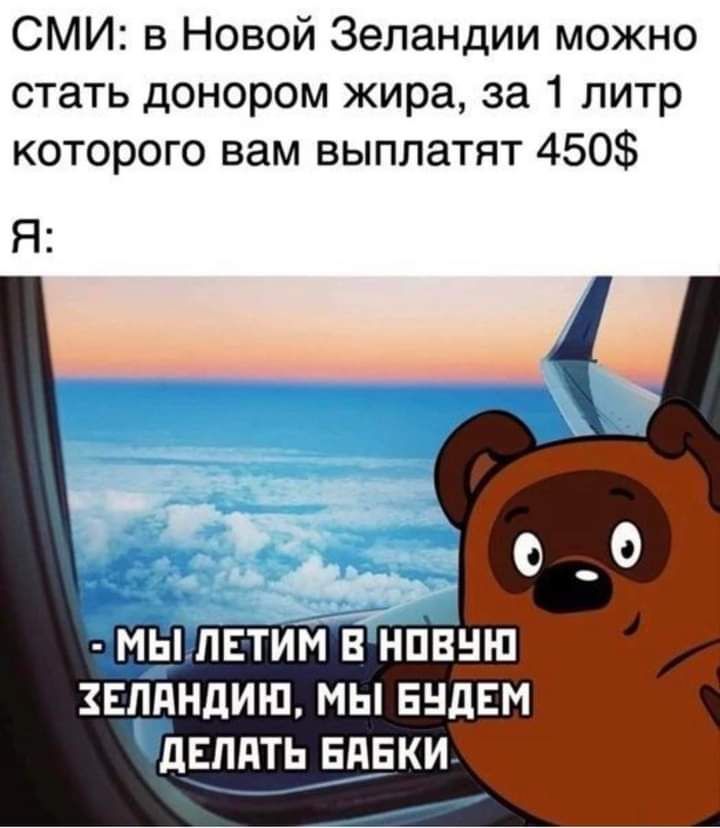 СМИ в Новой Зеландии можно стать донором жира за 1 литр которого вам выплатят 450 Я МЫ ПЕТИМ В НПВШП впяндиш мы идем Ъвппть впвки М