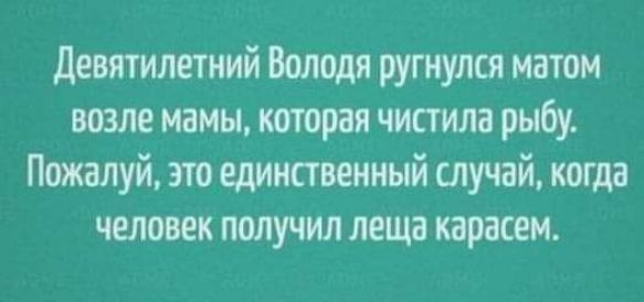девятилетний Володя ругиулся матом возле мамы которая чистили рыбу Пожалуй т шинам случай когда человек получил леща карасем