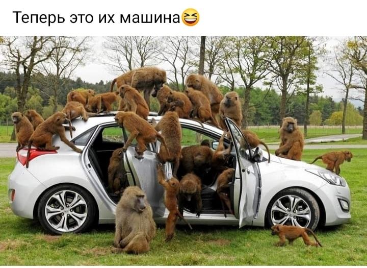 Теперь это их машинае