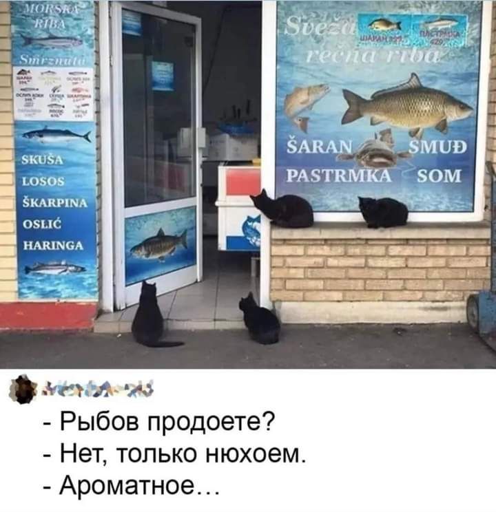 и т о Рыбов продаете Нет только нюхоем Ароматное