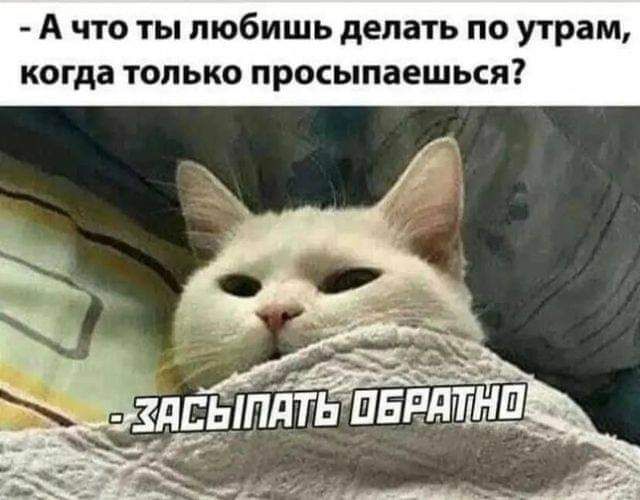А что ты любишь делать по утрам когда ТОЛЬКО ПРОСЫПЗЕШЬСЯ