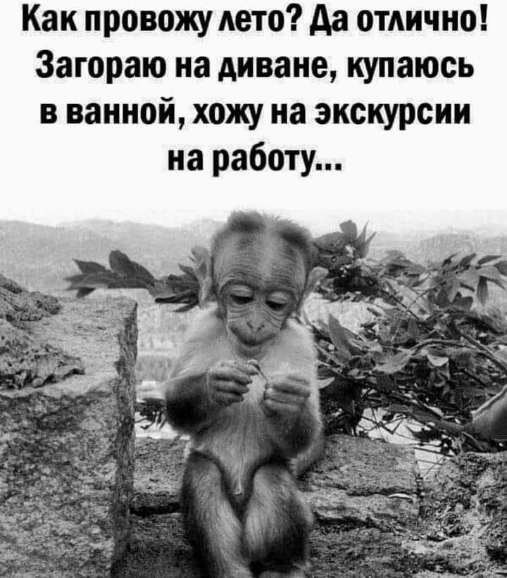 Как провожу дето Аа отлично Загораю на диване купаюсь в ванной хожу на экскурсии на работу