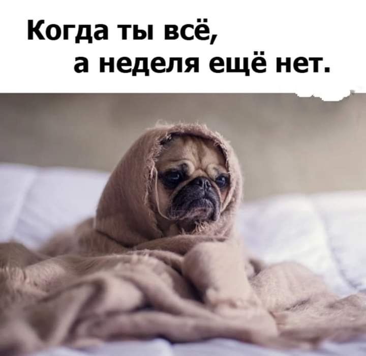 Когда ты всё а неделя ещё нет