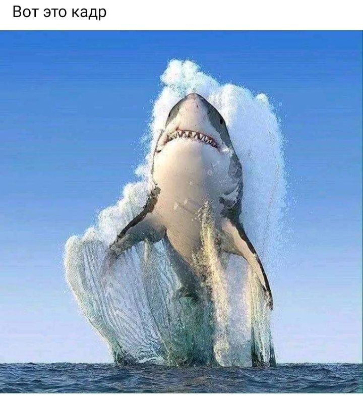 Вот это кадр