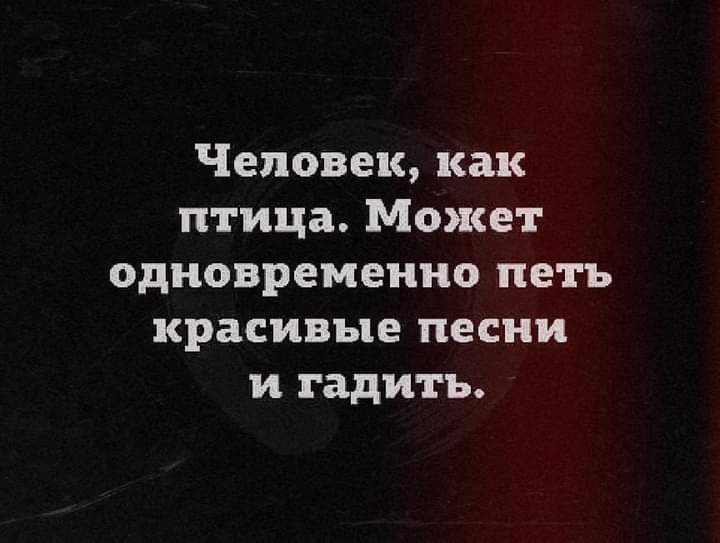 Человек как птица Может одновременно петь красивые песни и гадить