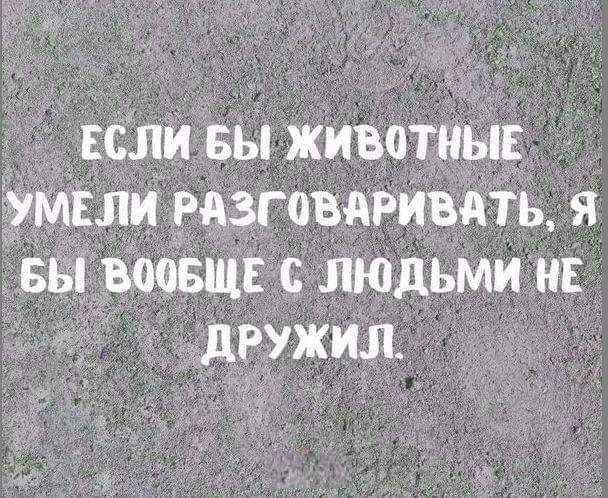 _ ЕСЛИ вы животиьп умвли газговдривдть я вы воовща с людьми на дружил