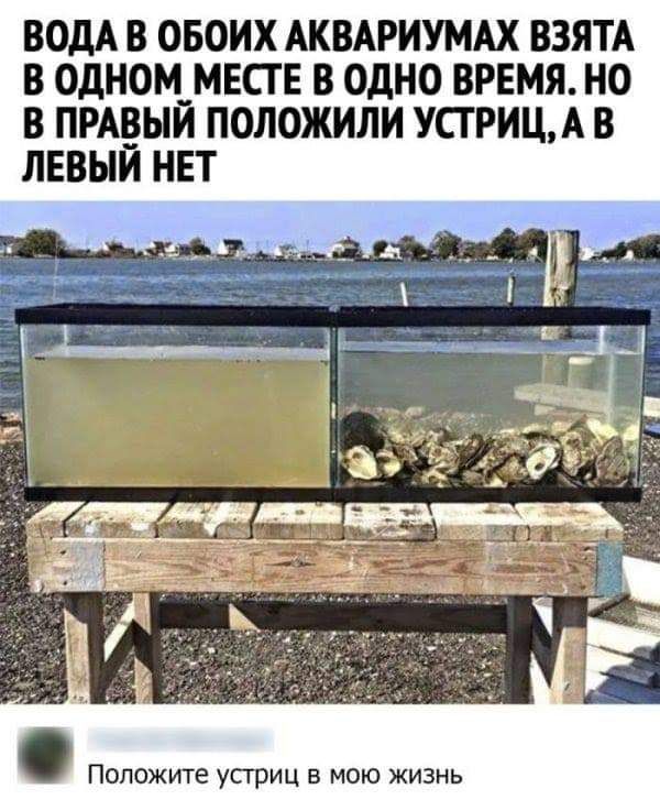 ВОДА В ОБОИХ АКВАРИУМАХ ВЗЯТА В 0дНОМ_МЕСТ Е В ОДНО ВРЕМЯ НО В ПРАВЫИ ПОЛОЖИЛИ УСГ РИЦА В ЛЕВЫЙ НЕТ Положите устриц в мою жизнь