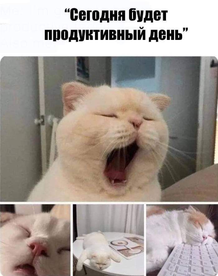 сегодня будет пподиитивный день