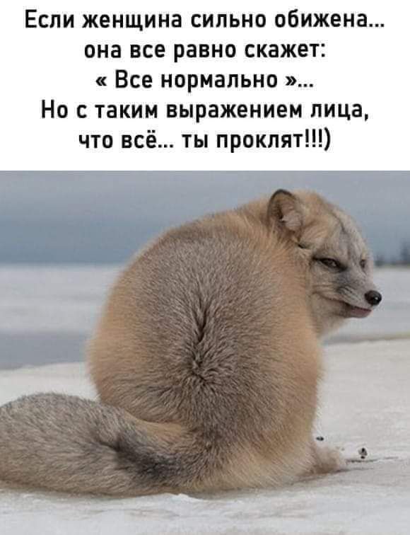 Если женщина сильно обижена она все равно скажет Все нормально Но с таким выражением лица что всё ты проклят