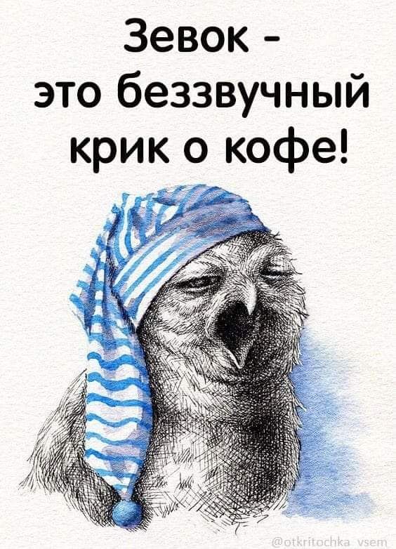 Зевок это беззвучный крик о кофе У