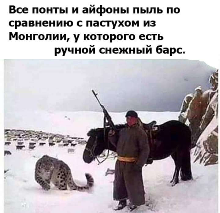 Все понты и айфоны пыль по сравнению С пастухом ИЗ Монголии у которого есть ручной снежный барс