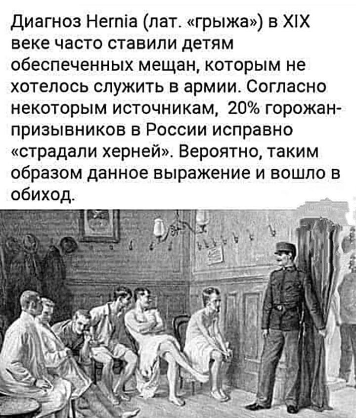диагноз Негпіа лат грыжа в ХХ веке часто ставили детям обеспеченных мещан которым не хотелось служить в армии Согласно некоторым источникам 20 горожан призывников в России исправно страдали херней Вероятно таким образом данное выражение и вошло в обиход