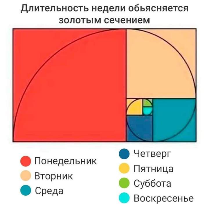 Длительность недели объясняется золотым сечением Четве г Понедельник р Вторник Пятница С ббота Среда у Воскресенье