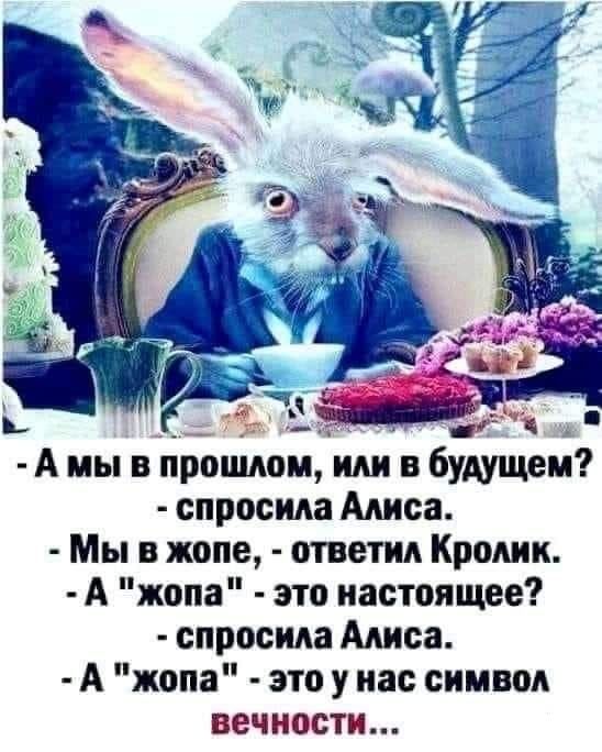 А мы в прошмш иди в будущем спросила Алиса Мы в жопе ответил Кролик А жопа это настоящее спросила Алиса А жопа это у нас символ вечности