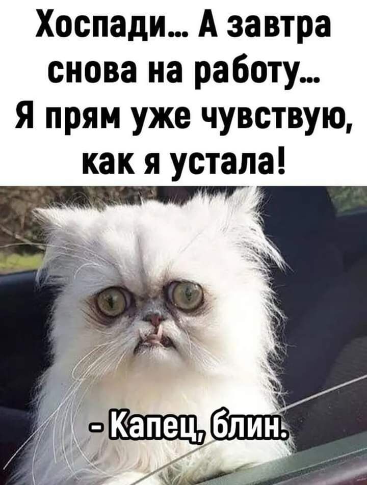 Хоспади А завтра снова на работу я прям уже чувствую как я устала