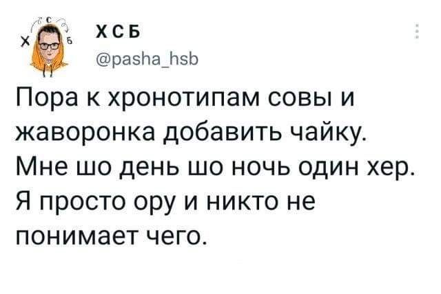 хсв разЬаЩф Пора к хронотипам совы и жаворонка добавить чайку Мне шо день шо ночь один хер Я просто ору и никто не понимает чего