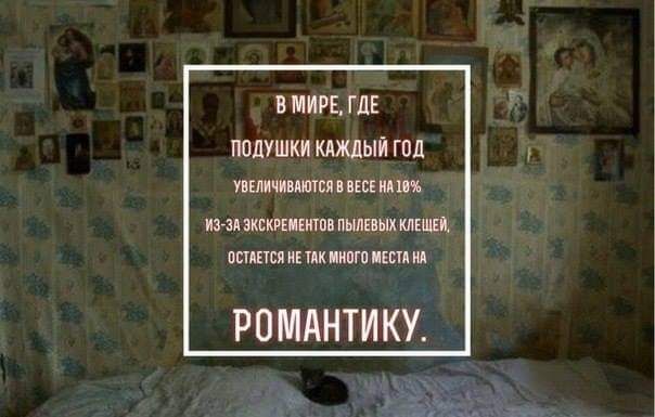 В МИРЕ ГДЕ подушки кипит гпд тлтцпышм пшишишмшшід ппшпитк шшщм РПМАНТИКУ