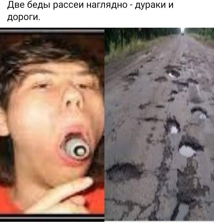 Дне беды рассеи наглядно дураки и дороги