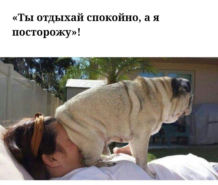 Ты отдыхай спокойно а я посторожу