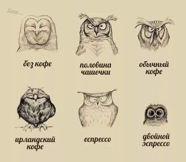 мшъ МФ