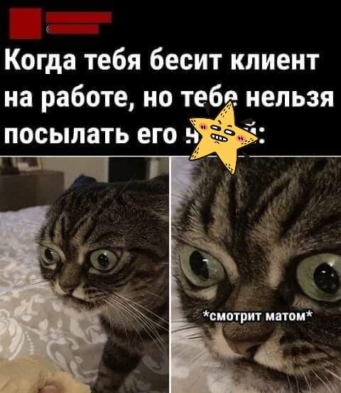 к Когда тебя бесит клиент