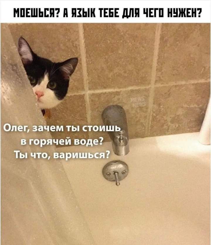 ъ ишьс и а Щ Ъ