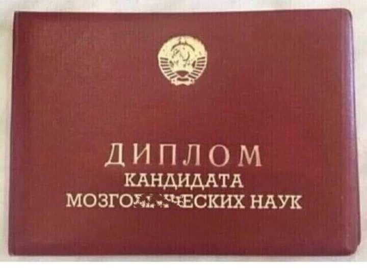 ДИПЛОМ КАНДИДАГА МОЗГОДЬ БЧЕСКИХ НАУК