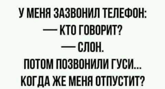 У МЕНЯ ЗАЗВОНИП ТЕЛЕФОН КТП ГОВОРИТ СЛПН ППТПМ ППЗВПНИЛИ ГУБИ КПГЛА ЖЕ МЕНЯ ПТПУБТИТ