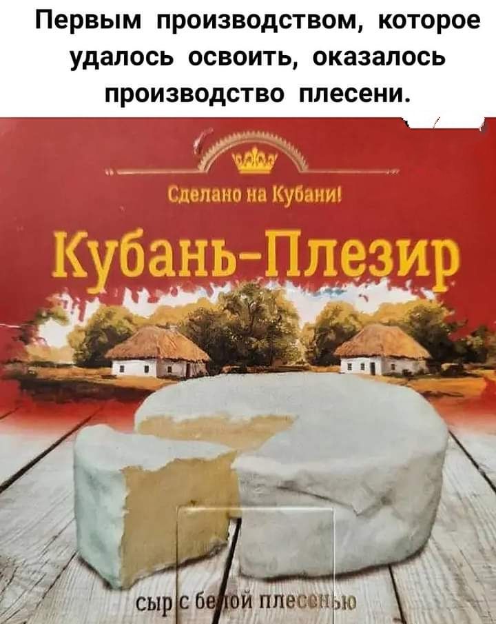ПЕРВЫМ ПрОИЗВОдСТВОМ которое удалось ОСВОИТЬ оказалось ПРОИЗВОДСТВО плесени а _г у_ СМЙ плес ник