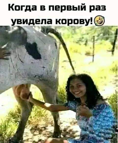 Когда в первый раз увидела кпр_ову