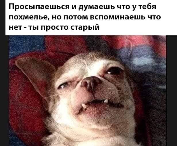 Прокыпаешься и думаешь что у тебя похмелье но потом вспоминаешь что нет ты просто тарый