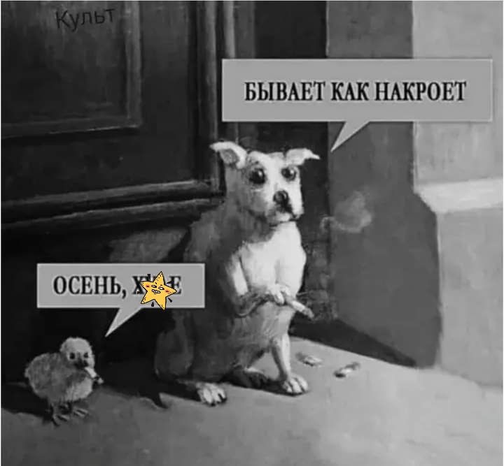 БЫВАЕТ НАКРОЕТ