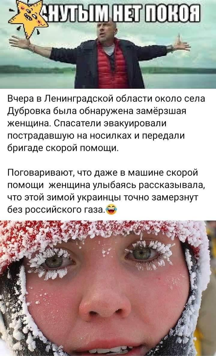 Вчера в Ленинградской области около села Дубровка была обнаружена замёрзшап женщина Спасатели эвакуировали пострадавшую на носилках и передали бригаде скорой помощи Поговаривают что даже в машине скорой помощи женщина улыбаясь рассказывала что этой зимой украинцы точно эамерзнут без российского газа
