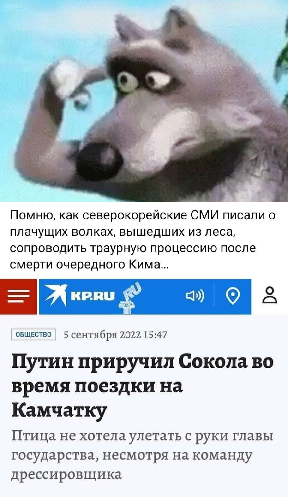 Помню как северокорейские СМИ писали плачущих вопках вышедших из леса сопроводить траурную процессию после СМЕРТИ очередного Кима нытик эп 19 о овщшвп 5 не нти бря 20121547 Путин приручил Сокола во время поездки на Камчатку ПТИЦЫ не хотела УЛЕТЭТЬ С РУКИ ГЛАВЫ государства НЕСМОТРЯ на команду ДРЕССИРОВЩИКЭ