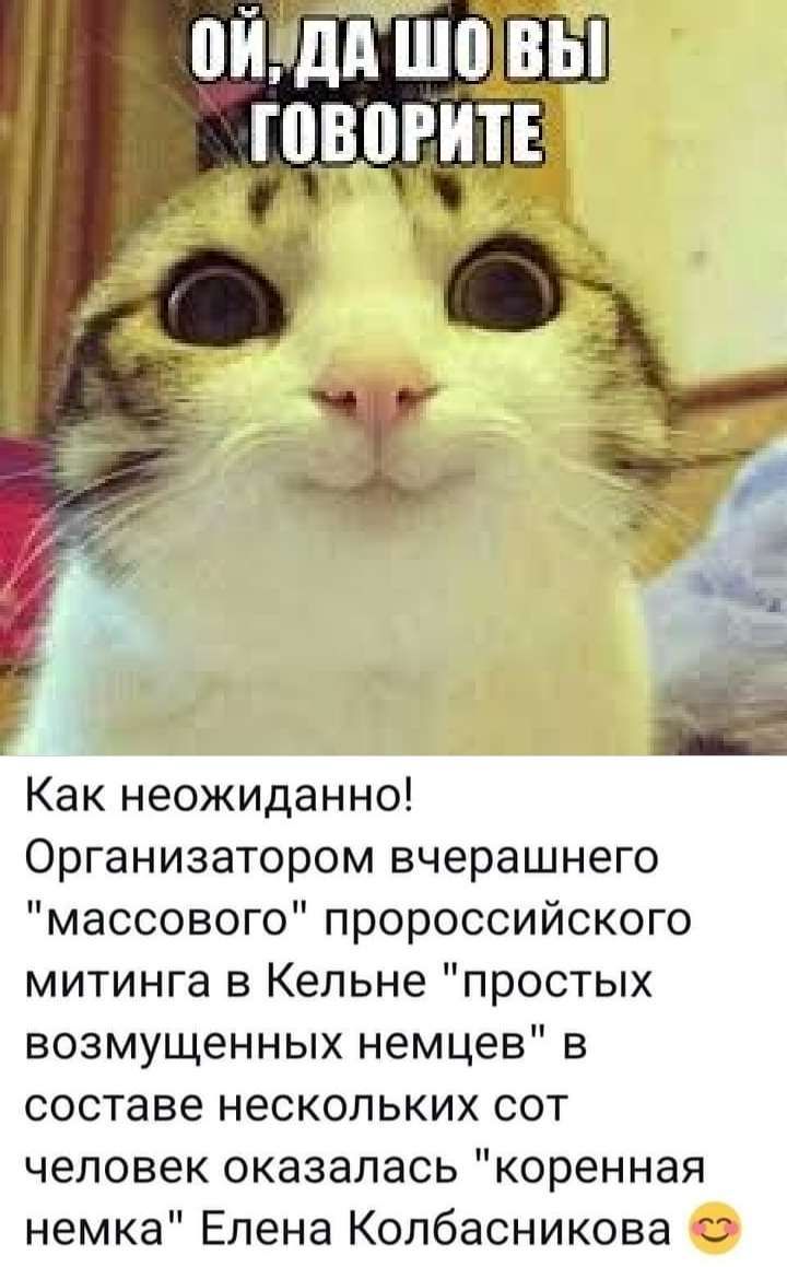 Как неожиданно Организатором вчерашнего массового пророссийского митинга в Кельне простых возмущенных немцев в составе нескольких сот человек оказалась коренная немка Елена Колбасникова