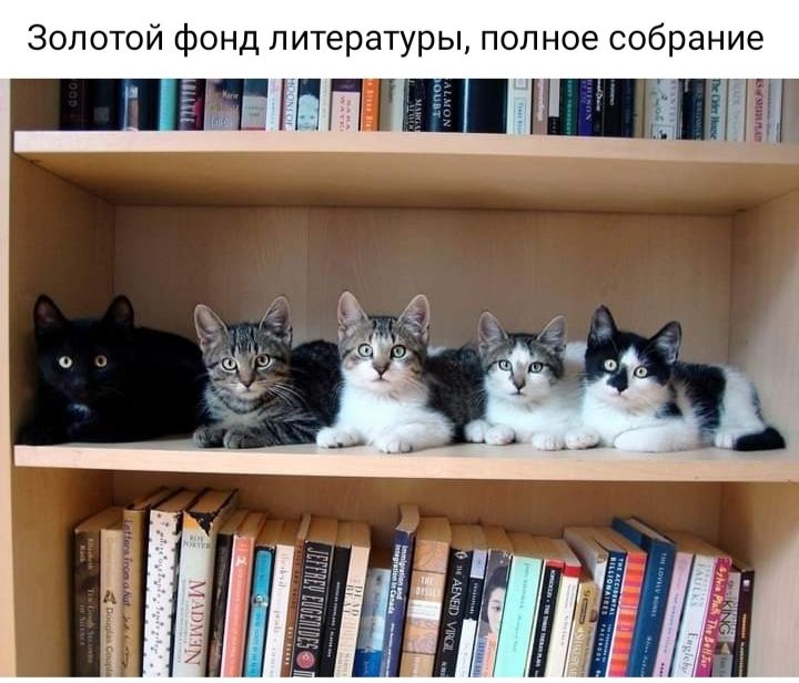 Золотой фонд литературы полное собрание