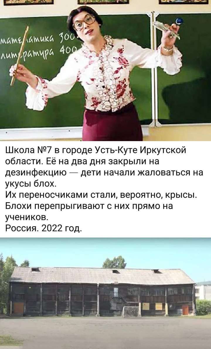 Школа 7 в городе Усть Куте Иркутской вбпасти Её на два дня закрыли на дезинфекцию дети начали жаловаться на укусы блох Их переносчиками стали вероятно крысы Бпохи перепрыгивают них прямо на учеников Россия 2022 год